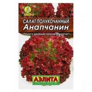 Аэлита Салат Анапчанин