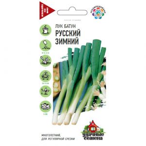 Лук батун Гавриш Русский зимний 0,5  г Удачные семена