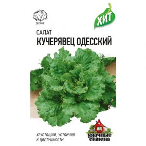 Салат Гавриш Кучерявец Одесский 0,5 г хрустящий ХИТ х3