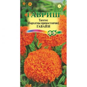 Бархатцы Гавриш Гавайи (Тагетес) 0,3 г