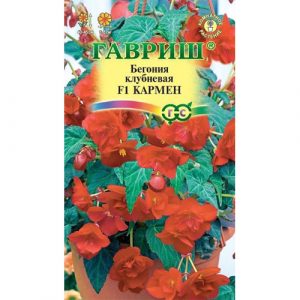 Бегония Гавриш Кармен F1 клубневая, амп. гранул. 4 шт. пробирка