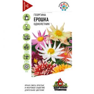 Георгина Гавриш Ерошка, смесь 0,2 г Удачные семена DH