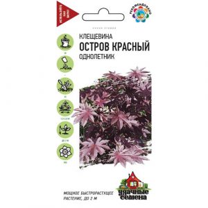 Клещевина Гавриш Остров Красный  5 шт. Удачные семена
