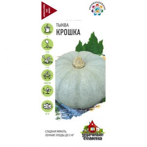 Тыква Гавриш Крошка 2,0 г Удачные семена DHп