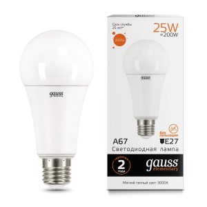 Лампа Gauss LED Elementary A67 25W E27 3000K