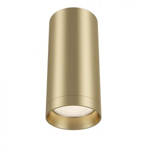 Светильник потолочный Maytoni C010CL-01MG