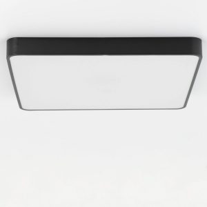 Светильник потолочный Citilux Купер CL724K105G1 LED RGB с пультом чёрный