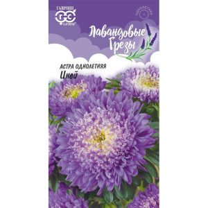 Семена Гавриш Астра Иней, однолетняя (букет голубой), 0,3 г, серия Лавандовые грезы Н20