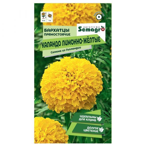 Семена Semagro бархатца каландо лимонно-желтые