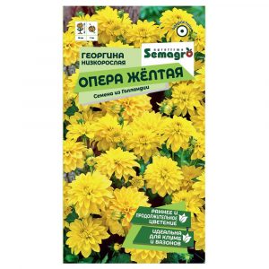 Семена Semagro георгины низкорослой опера желтая
