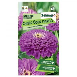 Семена Semagro цинния изящной супер йога парпл