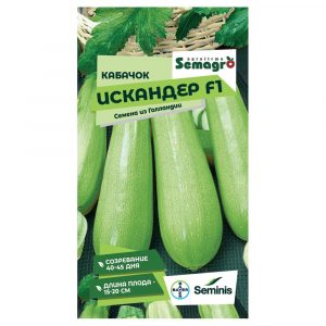 Семена Seminis кабачок искандер f1