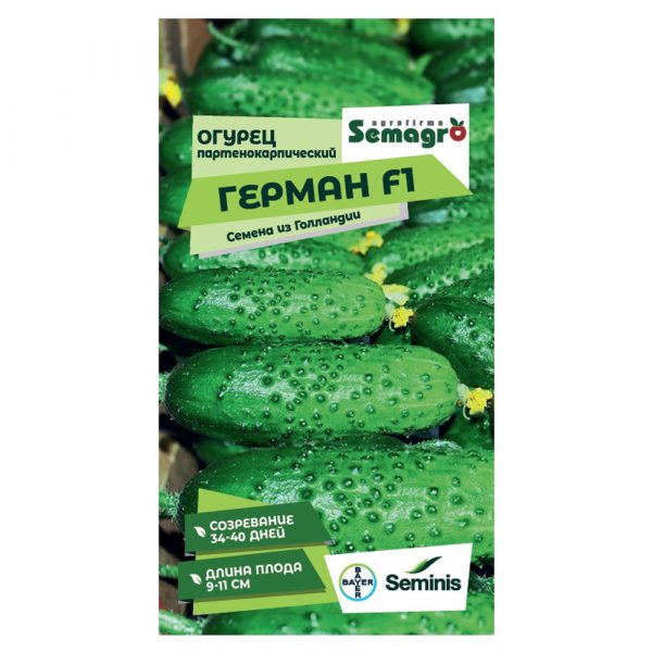 Семена Seminis огурец партенокарпик герман f1