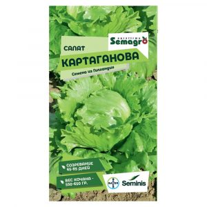 Семена Seminis салат картаганова