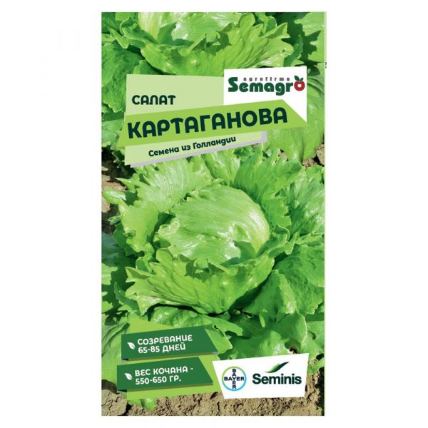 Семена Seminis салат картаганова