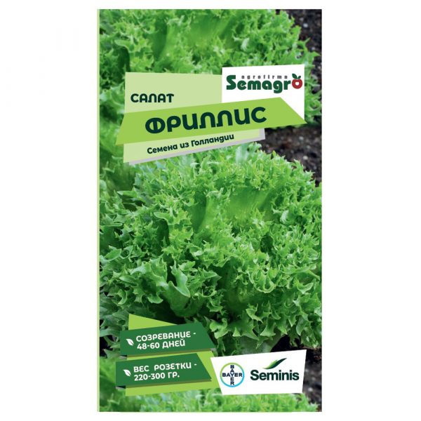 Семена Seminis салата фриллис