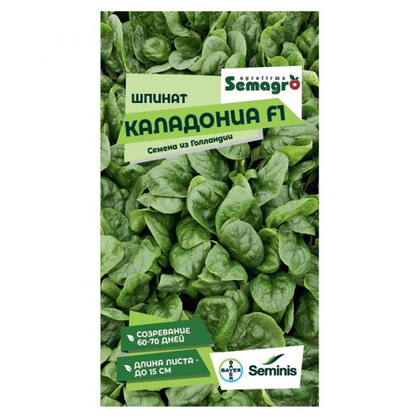 Семена Seminis шпинат каладония