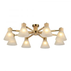 Светильник потолочный Arte Lamp a4096pl-8br