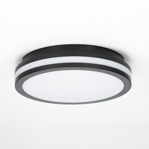 Светильник накладной Citilux CL711011v Luns черный 18w ip64