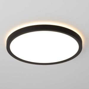 Светильник накладной Citilux CL748241 Norma черный