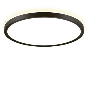 Светильник накладной Citilux CL748321 Norma черный